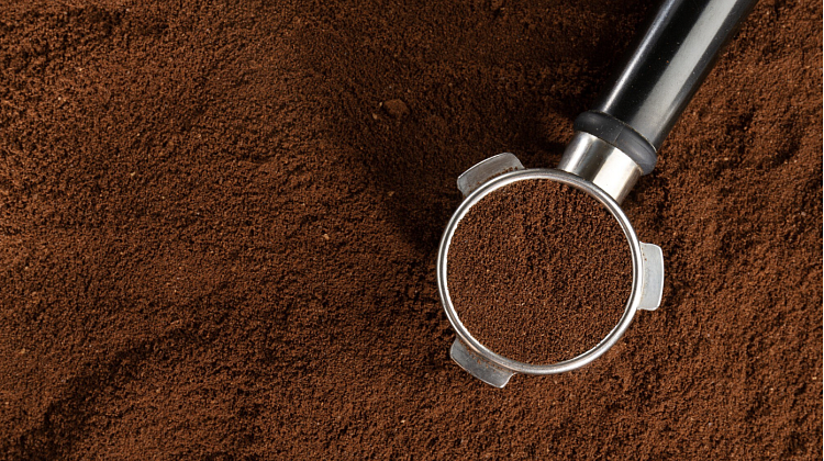 �� ������ ������������ �������� ����: ������ ���������