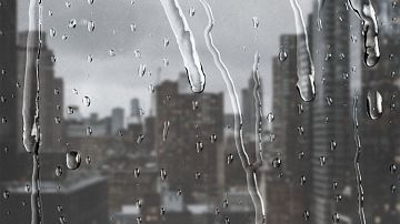 ������������� ���� �� ������ ������: ���������� ������ ��������� � ����������