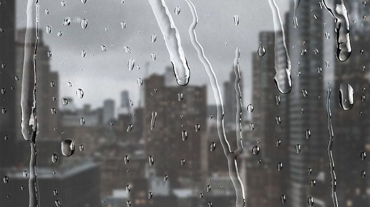 ������������� ���� �� ������ ������: ���������� ������ ��������� � ����������