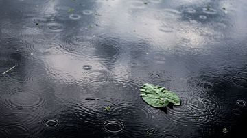 �� ������ ���� ������: ����� ������� ������� � ���������� � ������ �����������