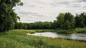 �����! ���� ��� ������ ������������ ������� �� ������� �������: ��� ��������