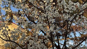 ������ �� ������ �������� � ������: ��� ������� ����������