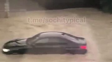       :    ,  