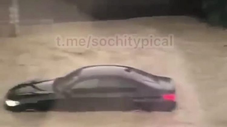       :    ,  