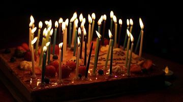 ��������, ���� ����. ���������, �������� ��������� � �����, ��������� 14 �������