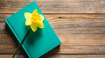 ����� ������� ���������: �� �� �������� ���� �������