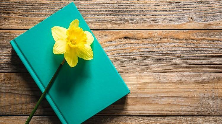 ����� ������� ���������: �� �� �������� ���� �������