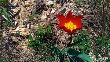 �� ������ �������� ������ �������� ������� ������ � ������ ��������� ������