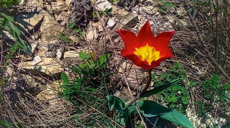 �� ������ �������� ������ �������� ������� ������ � ������ ��������� ������