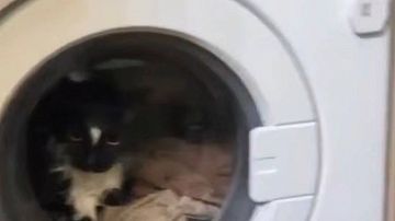 ��� ����� ������ � ���������� ������  