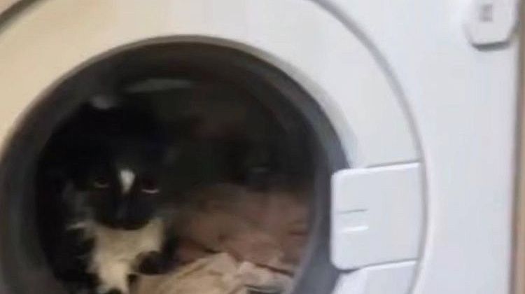 ��� ����� ������ � ���������� ������  