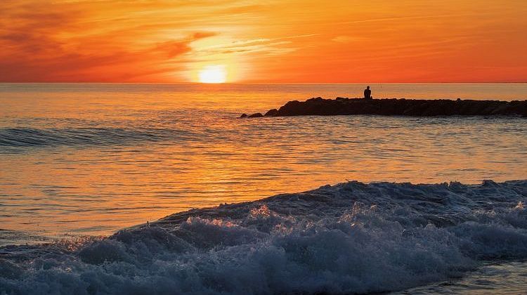 ����� ����� ������� � ������: ����� ��������, ����� �� �������