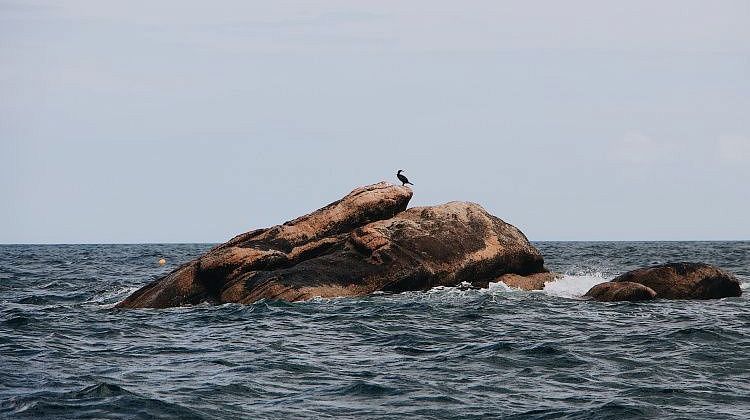 � ������ ���� ������������� ������������� �������� �� �����: �����������