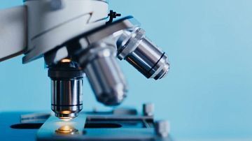 ������ ������ � ������ ����� 35: ��� �������� ����� ������������? 