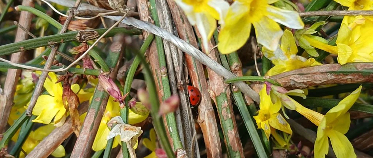 ����� �� ������ ������ ���������! ����� ����� ����� �� 18 �/� � ������ ��������� 