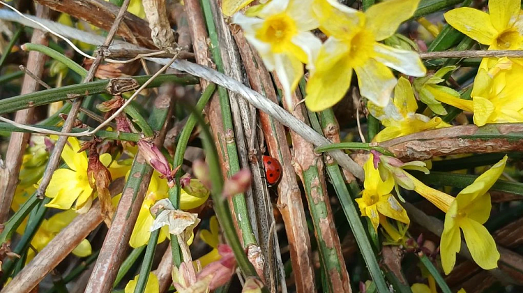 ����� �� ������ ������ ���������! ����� ����� ����� �� 18 �/� � ������ ��������� 