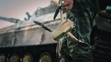 ������� ����������� "�������": ��������� ������������� �������� ������� ���