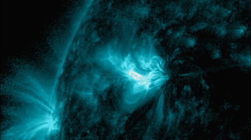 ������ ������� ����� ����� �� ���������: ������ �� ��������, ��� ����������