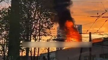 ������ ������ �� ���� �������! ������� � �������� � ���� �������: ���������� ������, ���������