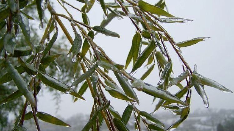 ����� ������ �� ������ �������� ������ ���������� ������?