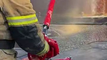 ������ �����, ��������, ��������� ����������� ����������, �������� ��������: ������ �� ���� 29 ������