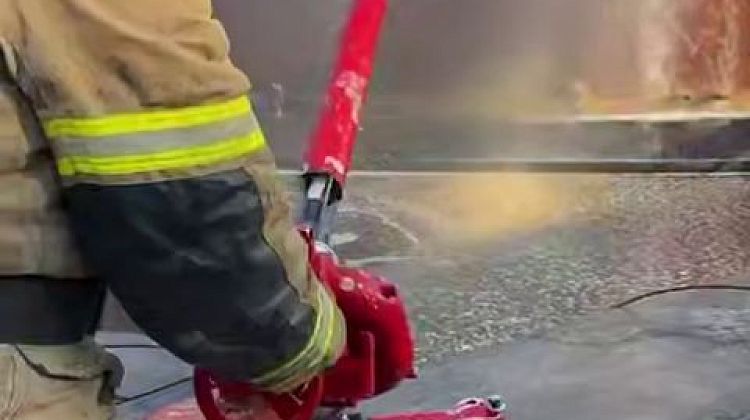 ������ �����, ��������, ��������� ����������� ����������, �������� ��������: ������ �� ���� 29 ������