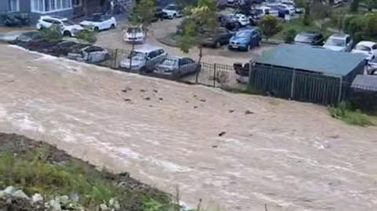 �������� ���� �� ����: ������ ������������ � ����, ������ - � ������