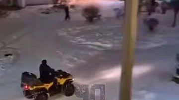 ����������� � ����: ��������� �� ����� ��������� ���������� � ����������������