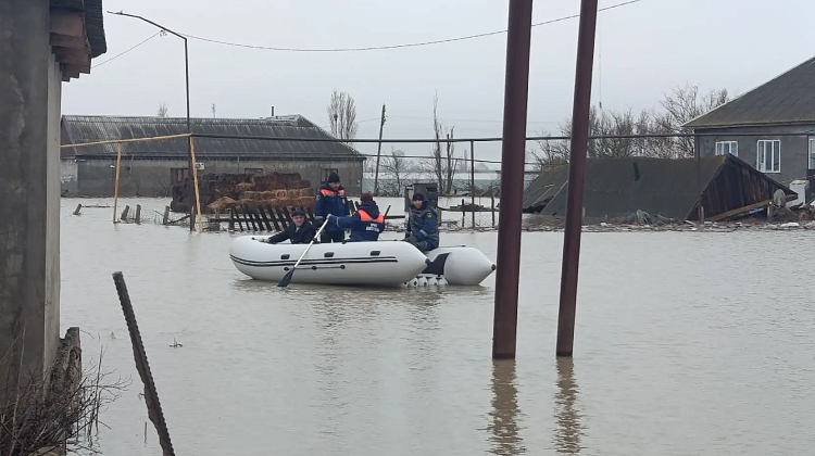 ���������� � ���������: ���� �� ������ ����������, ��� ���������