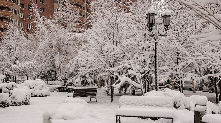 ��������� ������� ������: � ��� ������� ��������� 