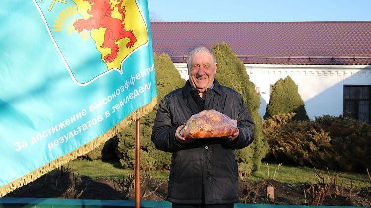 ������� ���������: ��������� ������ �������� ���� ������ ������