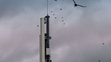 ��� ������� - ����� �� ���� ���: ����� ������� ������������� ��� - ������ ��������� � ���������� 