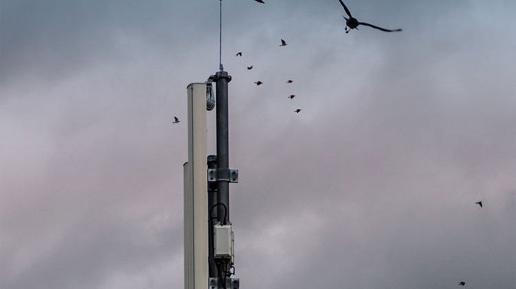 ��� ������� - ����� �� ���� ���: ����� ������� ������������� ��� - ������ ��������� � ���������� 