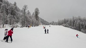 ������ ������ �� ������ ��� ������ �������: ��� ��� ������