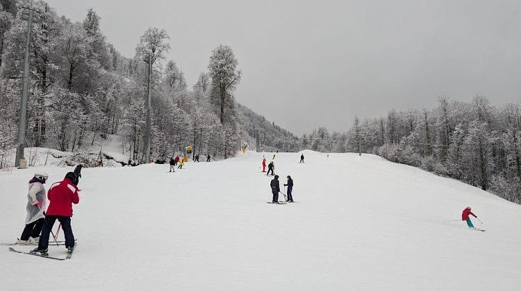 ������ ������ �� ������ ��� ������ �������: ��� ��� ������