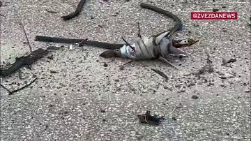 � ������� ���� ��������� ������������: ���������� ��������� ��� ��� �������