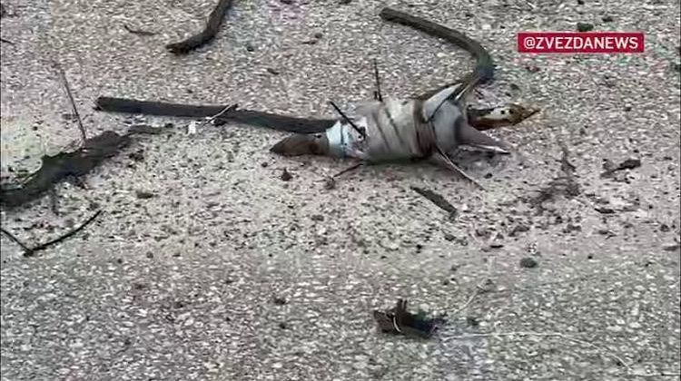 � ������� ���� ��������� ������������: ���������� ��������� ��� ��� �������