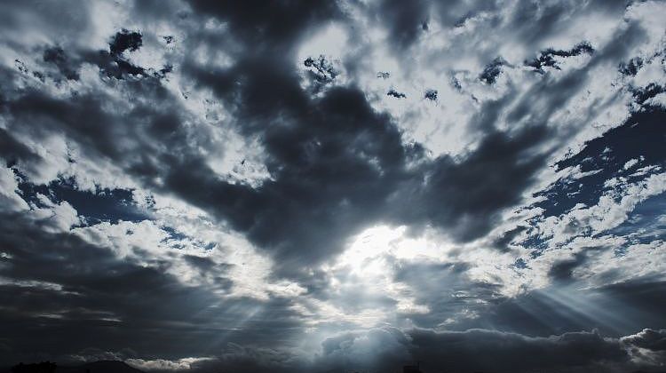 � ���� ���� �������: ������ ������ ������ �� ������ - ����� �� ������, �������� �����, ������������� �����