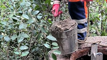 � ���� ����������� �������� ����������, ������ ����� � ��������� � ������������� ���