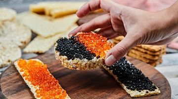 ������ � �������� ������ ����� ������ ���� ��� ��������