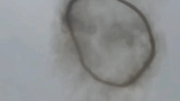 ��� � ��������! �������� ������ � ���� ��� ����������