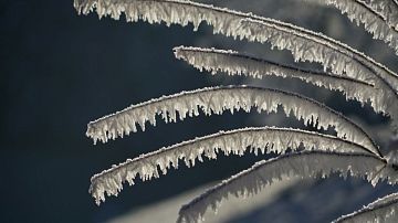 �� ������ �������, � ����� �������! ���������� ������ ������� ��� ������: �� ������ �� ����� 25