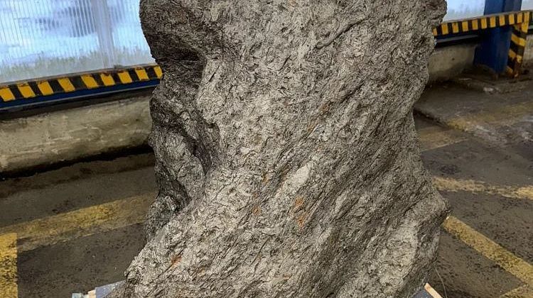 �������� �� �������� �������� ������� �� ������: �����������