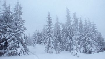 ����������� ����� ���������� �� ����: ��-�� �������� ����� ����� ��