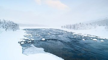 ��� ����� � ������? ���������� � ������: ������ � ����� ��� ���������