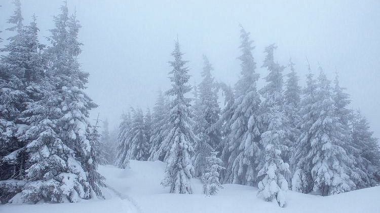 ����������� ����� ���������� �� ����: ��-�� �������� ����� ����� ��