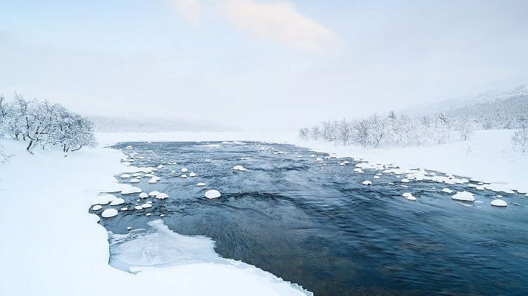 ��� ����� � ������? ���������� � ������: ������ � ����� ��� ���������