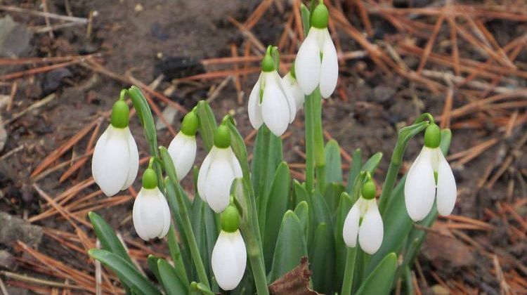 ����� ������� ������ ������� ���������� �����! "������������� ������" ��� � ���� 