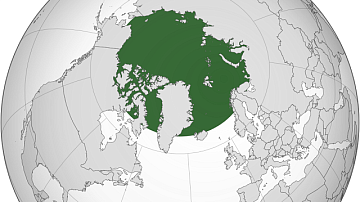   2024-:     