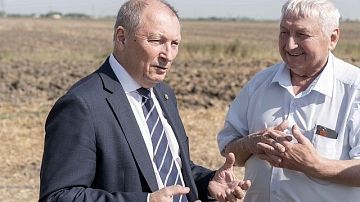 ������ ��������. ������� ����������